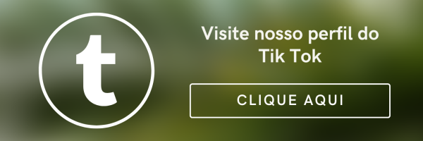 Site Link Bio Blogueira de Fotografia Verde e Creme (3)