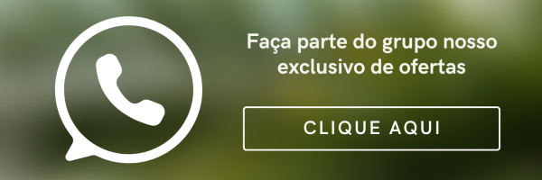 Site Link Bio Blogueira de Fotografia Verde e Creme (5)