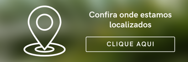 Site Link Bio Blogueira de Fotografia Verde e Creme (6)