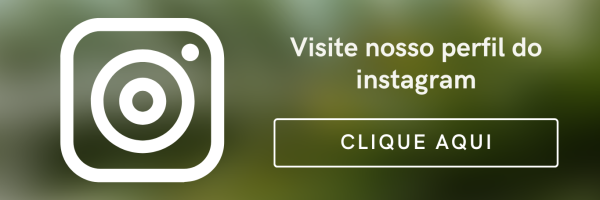 Site Link Bio Blogueira de Fotografia Verde e Creme (7)